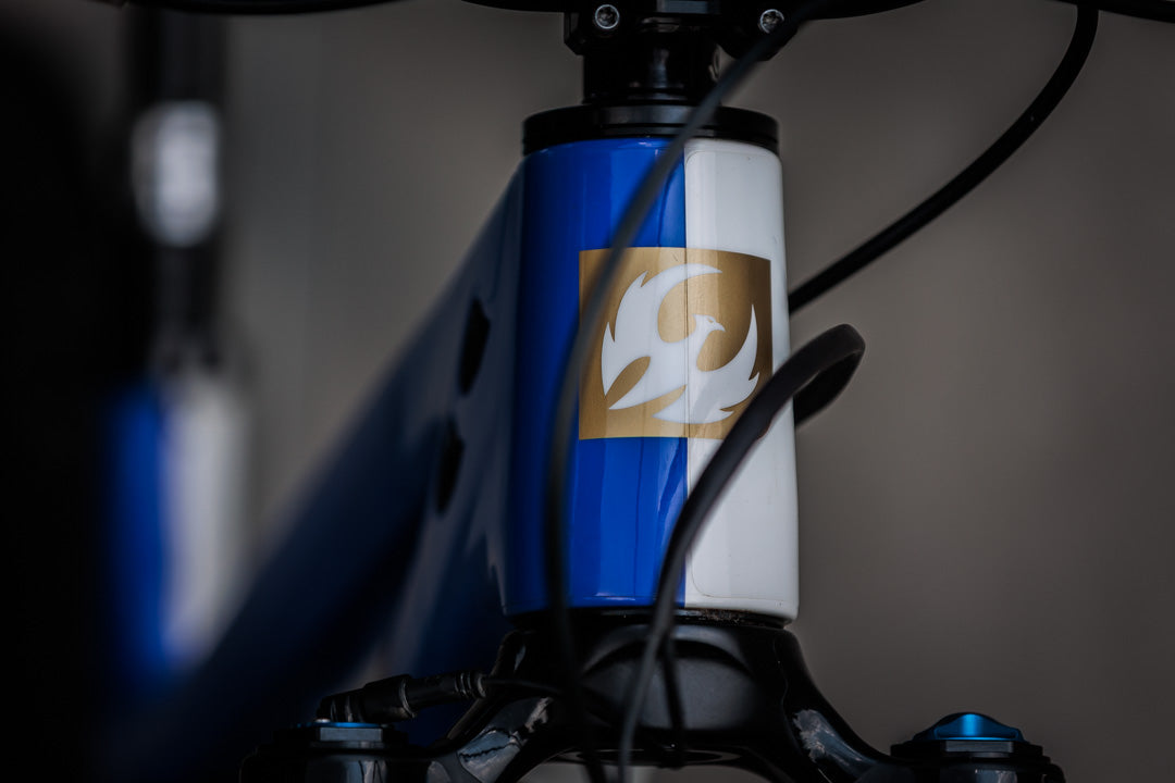Pivot Firebird Limited edition 2024 velikost M