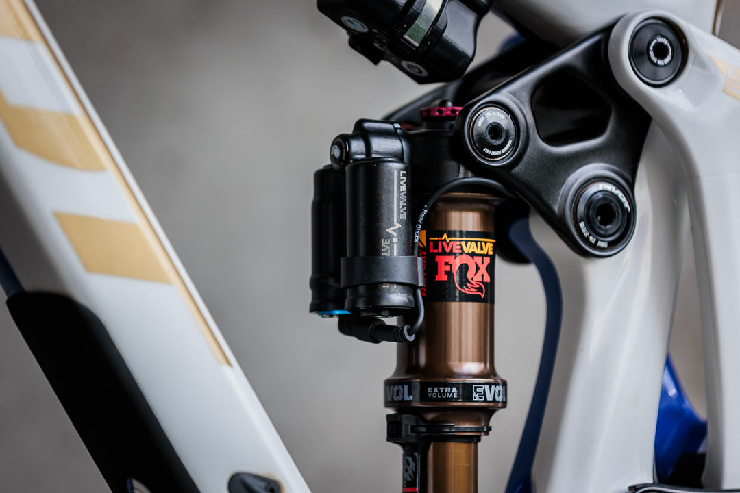 Pivot Firebird Limited edition 2024 velikost M