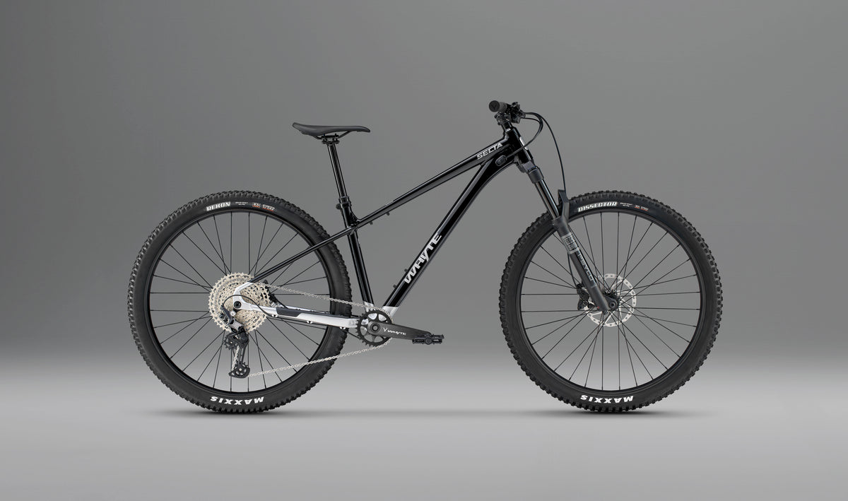 Whyte Secta RS, Stealth black and silver, z boku, na šedém pozadí