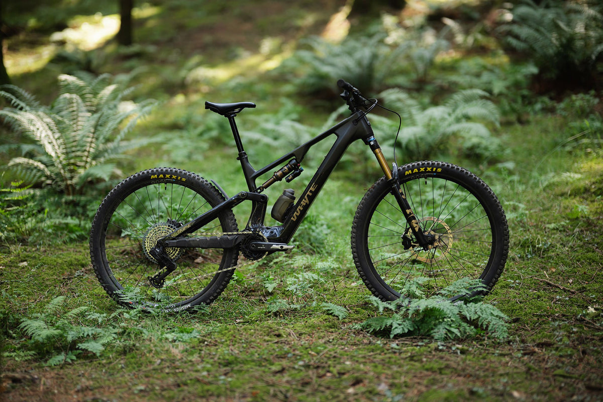 Whyte Karve RSX v kapradí